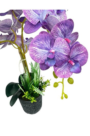 Nettenevime Yapay Çiçek 2li Lila Damarlı Islak Orkide Seramik Saksıda Orkide 60cm