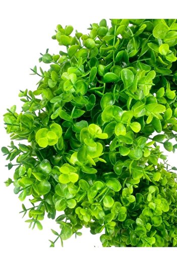 Nettenevime Yapay Ağaç Spiral Şimşir Ağacı 130cm Salon Bitkisi Düz Yeşil