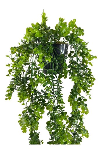 Nettenevime Yapay Çiçek Saksıda Sarkan Şimşir Okaliptus Yapay Sarmaşık 60cm