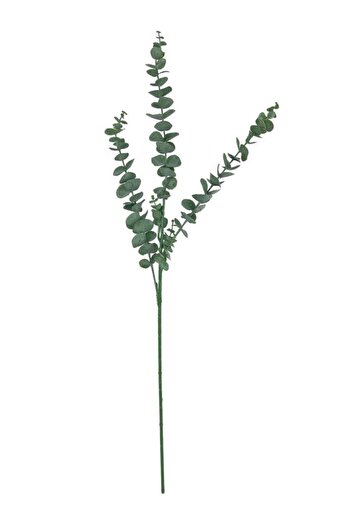 Nettenevime Yapay Çiçek Yeşil Okaliptus 3dallı Uzun Dal 76cm Eucalyptus