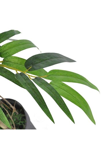 Nettenevime Yapay Ağaç Bambu Ağacı 2 Gövdeli Salex Li 90x30cm Siyah Plastik Saksılı