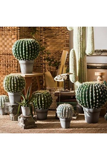 Nettenevime Yapay Çiçek Echinocactus Grusonii Altın Fıçı Kaktüs Siyah Saksıda 35*25m Cactüs Sk4010s