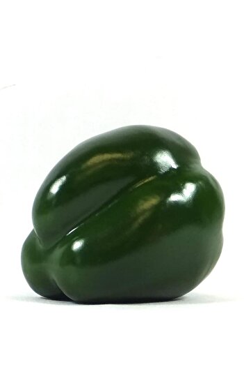 Nettenevime Artificial Green California Pepper Stuffed Pepper 1Pc 10*7 cm Real Size