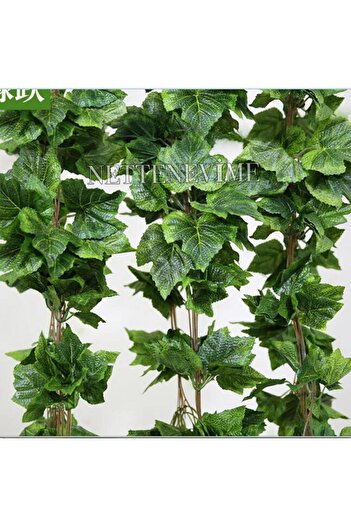 Nettenevime Τεχνητό λουλούδι Ivy 5 τεμαχίων Σύμπαντος Πληρόφλοια