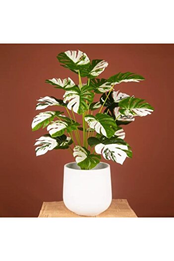 Nettenevime Τεχνητό λουλούδι σε γλάστρα Monstera Green White Camel Base 12dal 70cm Σαλόνι Λουλούδι Τεχνητό Φυτό
