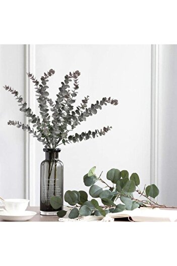 Nettenevime Yapay Çiçek Pastel Yeşil Kahverengi Okaliptus 48cm 3Dallı Uzun Dal Eucalyptus