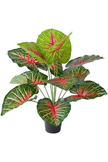 Nettenevime Yapay Çiçek Saksıda Tropik Kızıl Caladium 18 Dal 70 cm Salon Çiçeği Yapay Bitki