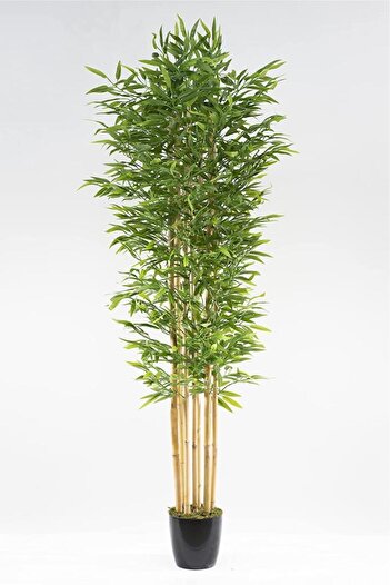 Nettenevime Yapay Bambu Ağacı 210cm Siyah Saksılı 7 Dallı