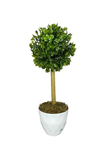 Nettenevime Yapay Ağaç Şimşir Top Tek Toplu 12x31cm Beyaz Saksıda