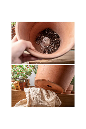 Generic Planting water rooting base 10pcs