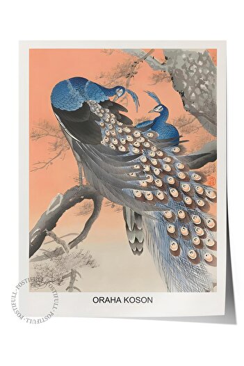 Postifull Unframed Poster, Comfort Series, Ohara Koson - Two Peacocks Tree Branch Poster, No:108713