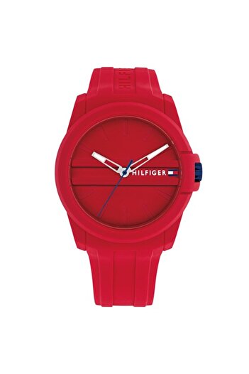 Tommy Hilfiger Tommy Hilfiger Th1710598 Men's Watch