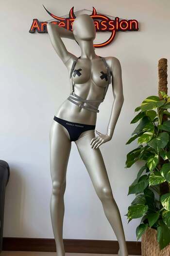 Angels Passion Reflective Women's Fantasy Harness Underwear