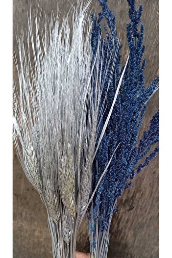kutmen Silver Color Wheat and Blue Color Tassel Flower 60 Branches (Dry Flower)