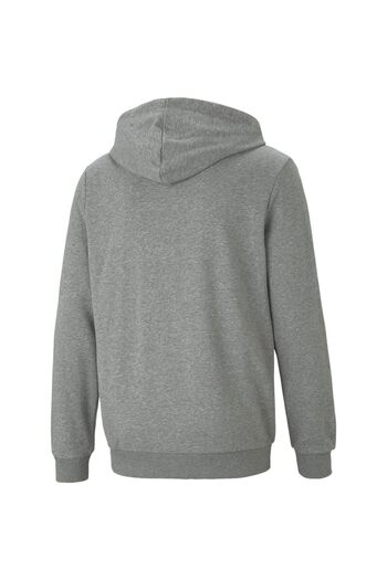 Puma Hood Puma Essentials Logo, Gray, Men