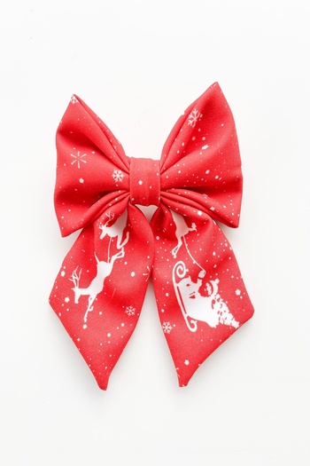 Pretty New Year's Special Bow Buckle