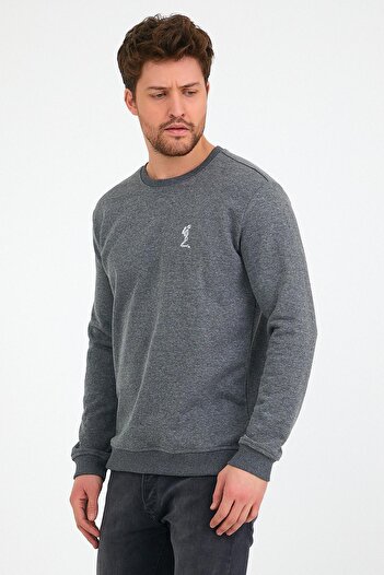 Polo State Чоловічий 3-нитковий бавовняний Regular Fit з вишивкою та велосипедним коміром Basic Sweatshirt