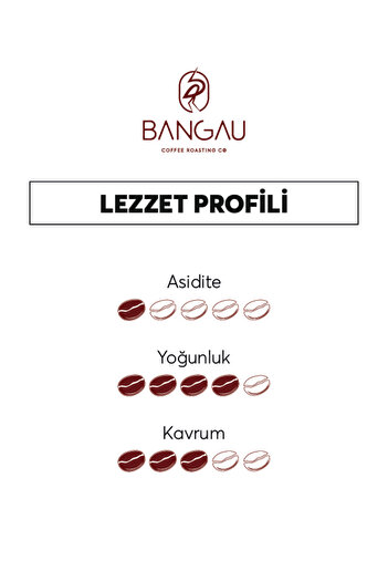 BANGAU Kafeinsiz Decaf Filtre Kahve (200GR) %100 Arabica