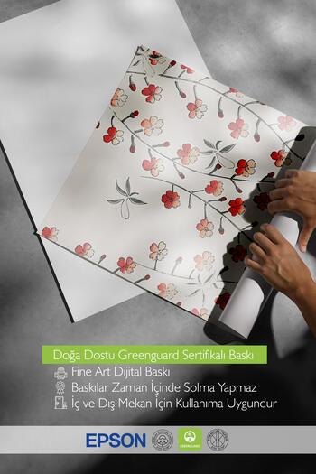 Postifull Unframed Poster, Comfort Series, Bijutsu Sekai - Cherry Blossom Poster, No:108700
