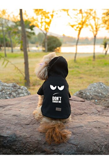 Buddy Store Black Sweat - Don'T Touch Me Printed Cat and Dog Outfit Dress