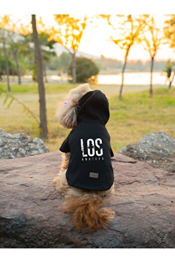 Buddy Store Los Angeles Printed Black Cat and Dog Sweat - Outfit Clothes