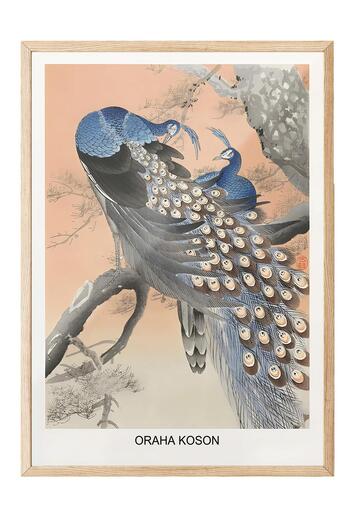 Postifull Wood Framed Painting, Ohara Koson - Two Peacocks Tree Branch Comfort Series No:108713