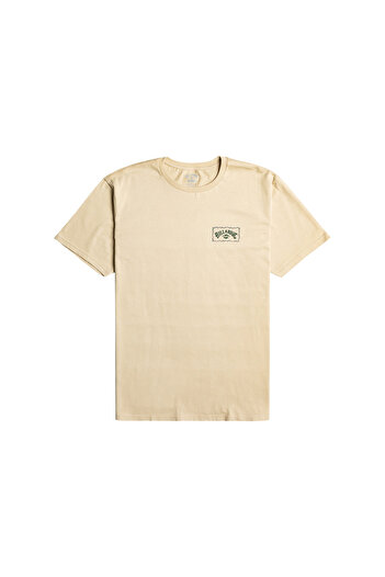 BİLLABONG Adiv Arch Ss Men's Green T-Shirt Men T-Shirt Ebyzt00111