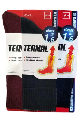 Şirin Winter Thermal Men's Socks - Thick Socks (9550)