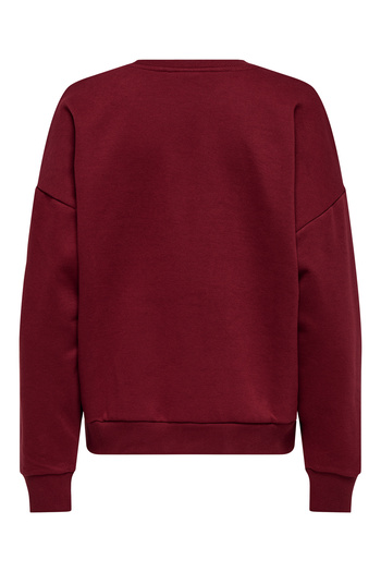 ONLY ONLWALLIS L/S O-NECK PRINT BOX CS SWT