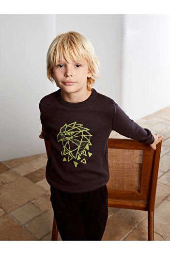 LC Waikiki Lcw Kids Anthracite Crew Neck Printed Long Sleeve Boy Knitwear Sweater