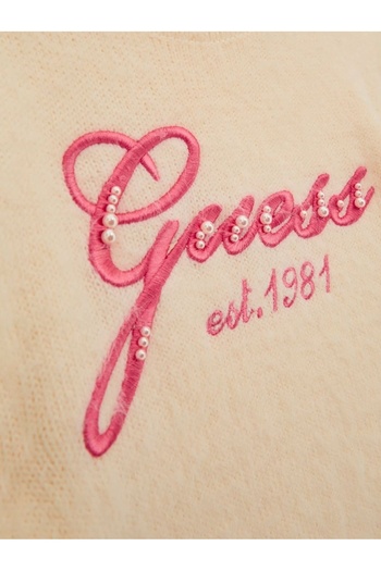Guess Ls Sweater