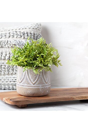 Warm Design Bej Desenli  Terracotta Saksılık