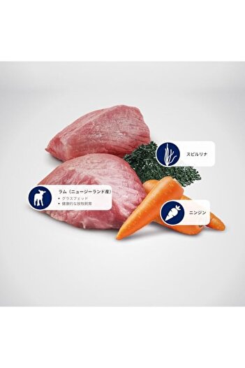 N&D Nd Brown Kuzu, Patates, Havuç Ve Spirulinalı Küçük Irk Yetişkin Köpek Maması 2kg