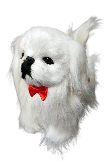 Sole Sese Duyarlı Şımaran - Hareket Eden, Yürüyen Müzikli Sevimli Malta Bichon Peluş Köpek