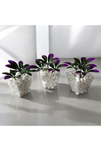 Lilac Home Специално проектирана DIY 3-компонентна кубична саксия с декоративни каменни детайли, лилаво-зелен евкалипт