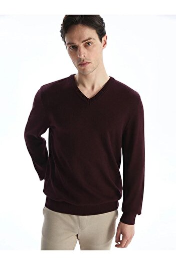 LC Waikiki LCWAIKIKI Classic V-neck Long Sleeve Men's Knitwear Sweater