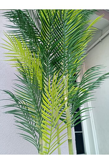 Cennet Home Areka ağacı 180 cm 5 bambu gövdeli 45 yapraklı dolgun yapay ağaç antrasit kumsal vazoda