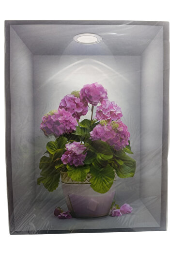 Mor Kayısı 3D Wall Mural (3D Wall Sticker) 30X40 cm