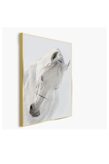 Homelux Canvas 50x70 Cm, Horse Ii