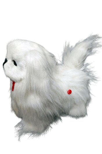 Sole Sese Duyarlı Şımaran - Hareket Eden, Yürüyen Müzikli Sevimli Malta Bichon Peluş Köpek