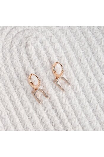 Lekka Design Women's Non-Tarnish Steel Luxury Small N Letter Earrings