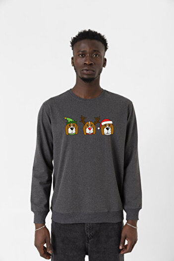 Tshirthane 3 Wise Beagles Christmas Фума Erkek 2ip Світшот