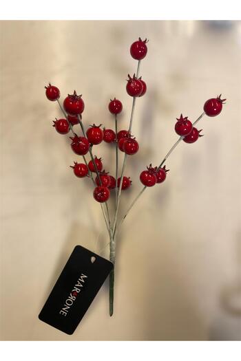 Marrone Pomegranate Cocina