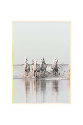 Homelux Canvas 50x70 Cm, Horse Iii