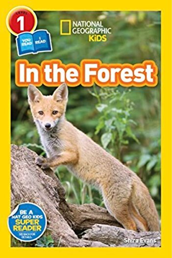 NATIONAL GEOGRAPHIC In The Forest