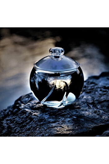 Cacharel Noir for Women - Eau de Toilette, 100 ml