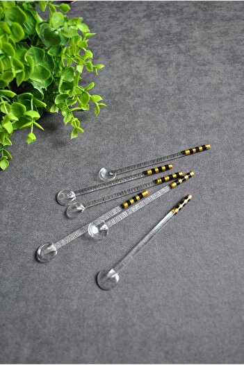 Purelegant 6 Pieces Gold Color Embroidered Glass Tea and Presentation Spoons