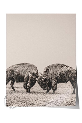 Postifull Rustic Unframed Poster, Scandinavian Brown Painting, No:273 Pigs Photo, Vertical