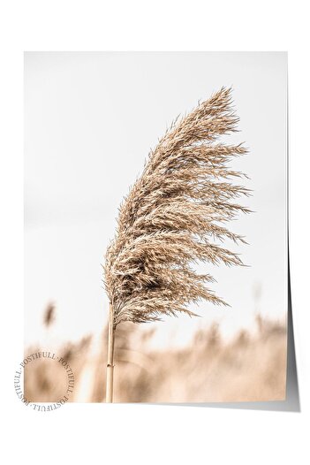 Postifull Rustic Unframed Poster, Scandinavian Brown Painting, No:235 Reed Photo, Vertical