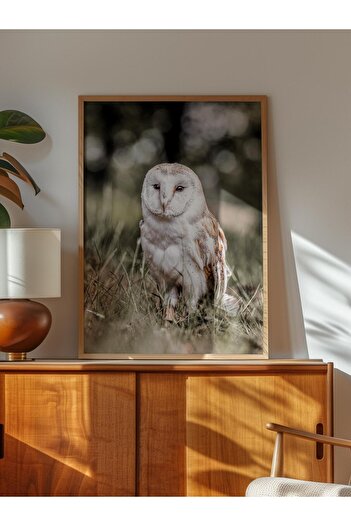 Postifull Rustic Frameless Poster, Scandinavian White Painting, NO:393 Owl Photo, Horizontal
